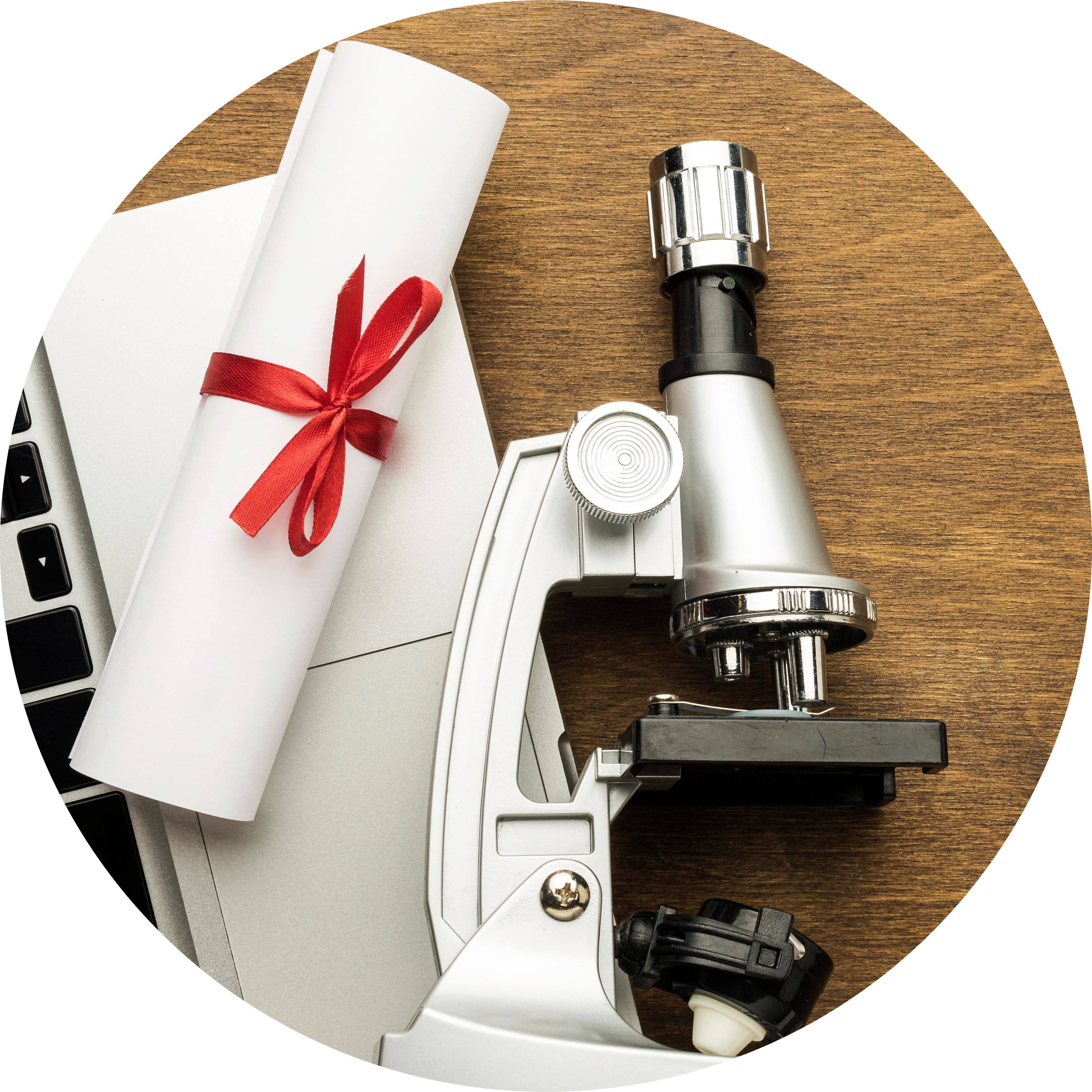 جائزة الجامعة أفضل قسم علمى 