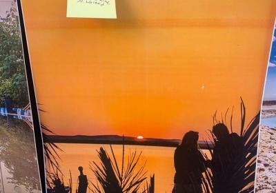 2ed035ee Fa3a 4a76 81f4 27e9d98f6fdc