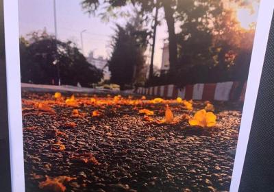 6cea7e26 B813 4e34 B25b 932c99429380